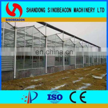 2017 Commercial Agricultural Aquaponics Greenhouse For Planting Vegetables