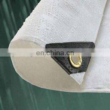 Blue White Contractors Polyethylene Tarpaulin Sheet / PE Tarps Fabrics for Ground Sheet and Building Safety Curtain