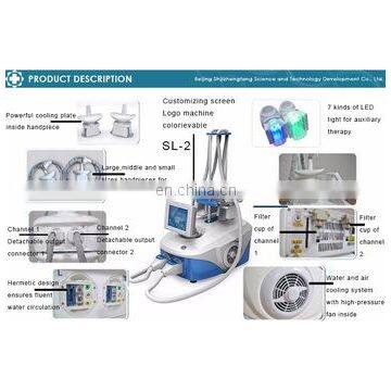 2019 Double Cryo Liplysis Fat Freezing Cryo Lipolysis Slimming Device for Fat Reduction