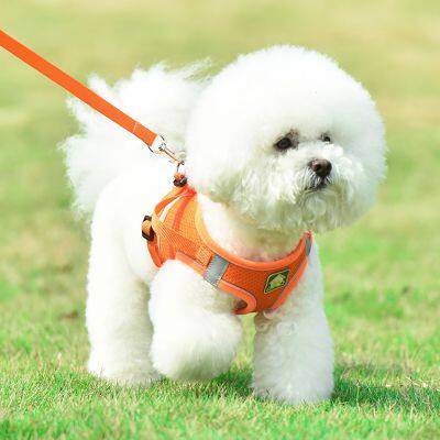 Pet Strap Supplier OEM/ODM Custom Dog Harness & Leash Manufacturer Bulk Wholesale Reflective No-Pull Pet Straps for Distributors Worldwide