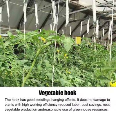 Metal Tomato Rope Hooks Support Clamps for Cucumber Tomato Pepper Eggplant Vines Flower Plant With PP Twine photo-5