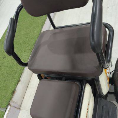 The Newest Awning Electric Tricycle for Cargo No Doors Open Electric Vehicle for 3 Adults With Best Price of China Manufacturer photo-5