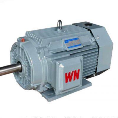Ye5 Series, National Standard Grade 1, Wannan Electric Motor, Ye5 - 355m1 m2 - 8/132kw 160kw/660v/b3/ip65/b3/b35/b5, Special Customization Available