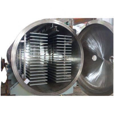 Large-scale Vacuum Freeze Dryer for Fruit Drying