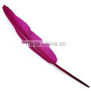 wholesale natural dyed turkey feather for sale