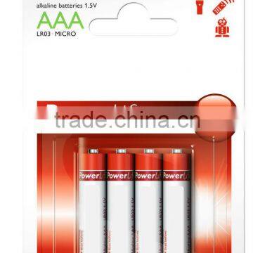 Powerlife AAA Alkaline AAA Batteries LR03P4B/97