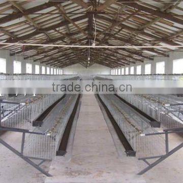 Wholesale Galvanized Layer Chicken Cages/Battery Cage photo-2