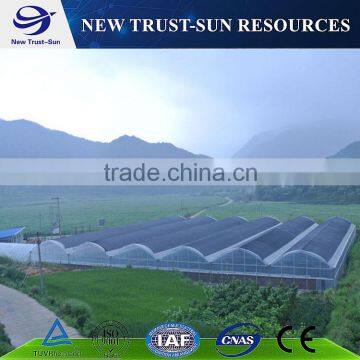 Low Cost Muti-span PVC/PE/Plastic Greenhouse for Flower/vegetable Growing photo-2