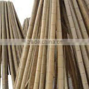 High quality bamboo pole for garden plant