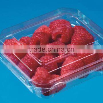 Disposable Transparent PET Small plastic Rectangle packaging Box/ container