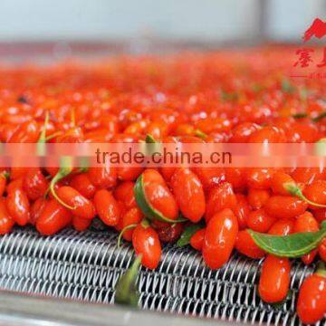 Dried Goji 700pcs/50g