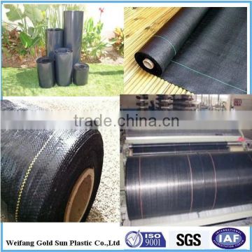 pp woven ground cover / Weed Control fabrics /weed stop fabric