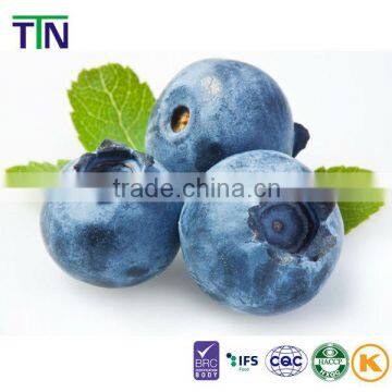 Freeze dried fruit flavor powder blueberry fruit juice powder