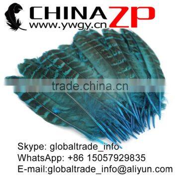 Hotselling CHINAZP Dyed Turquoise Blue Ringneck Wing Quills Feather for Party Decoration photo-3