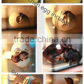 Best Quality Low Price 88 Egg Incubator /pultry Incubaor for Sale in Zimbabwe photo-2