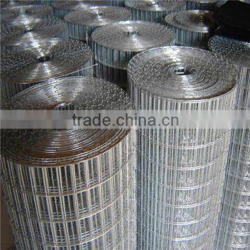 electro galvanized welded wire mesh for sale