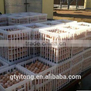 Egg Tray/ Egg Tray Transport Cage for Poultry Farm/ Plastic Egg Tray Transport Cage