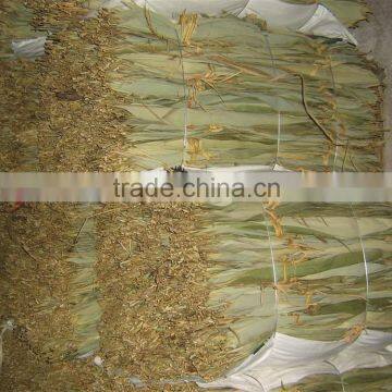 zhu ye dry bamboo leaves bamboo sale