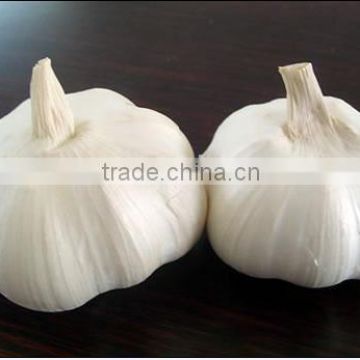 2014 new crop garlic Mesh bag garlic Natural garlic