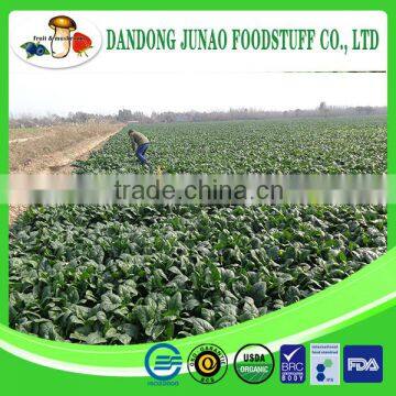 New Season Frozen Spinach Import Frozen Vegetable photo-3
