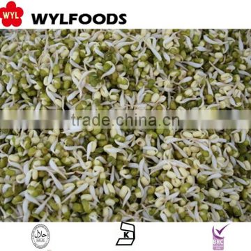 IQF frozen price for Soybean sprout green