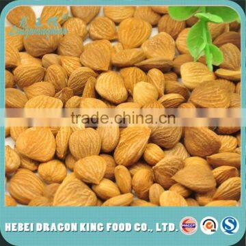 100% Nature Bitter Apricot Kernels