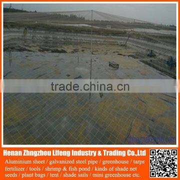 hdpe greenhouse anti bird trap mist net , plastic fruit bird protection net , nylon safety plant support anti bird green net