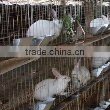 Rabbit cage /cage for rabbit/rabbit farming cage