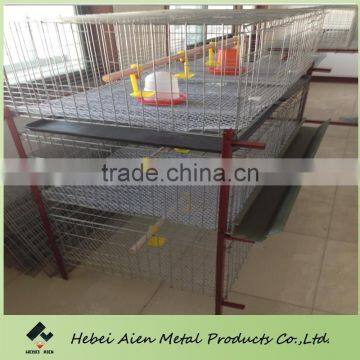 H Type Poultry Automatic Broiler Rearing Cage photo-4