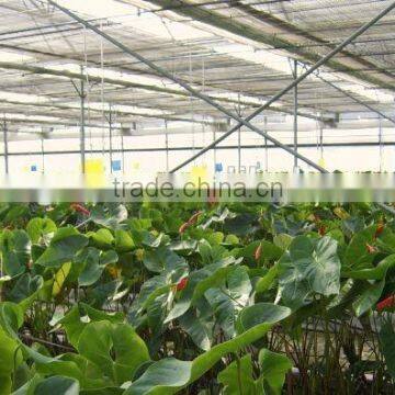 Inflation Greenhouse photo-3