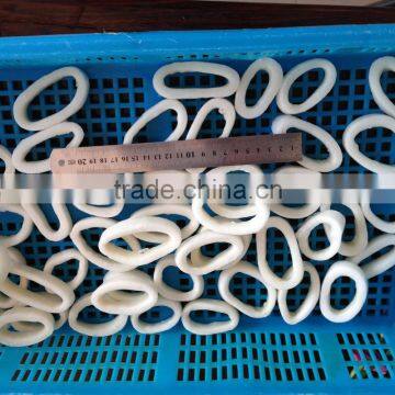 2016 Hot Sale High Quality Illex Squid Ring From China photo-3