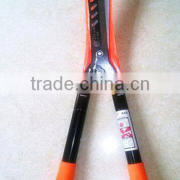 long handle telescopic tree plate shear