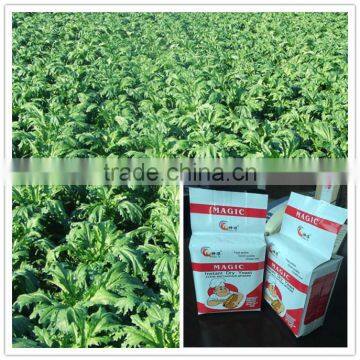 500g Bread Yeast Instant Dry Yeast Fresh Yeast photo-2