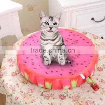 Fruit Shaped Cushion 3D Sandals Soft Comfortable Cute Different Images Printing and Sizes photo-3