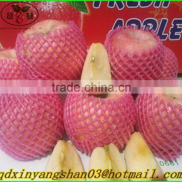 Bright Red Fresh Apple/Outstanding Chinese Exporters photo-3