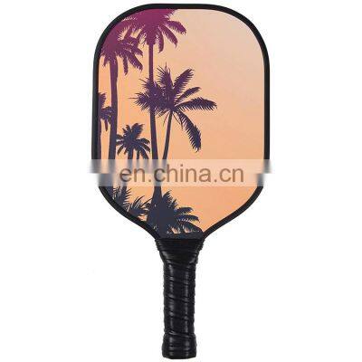 Custom Portable Long Graphite Pickleball Paddle Bundle