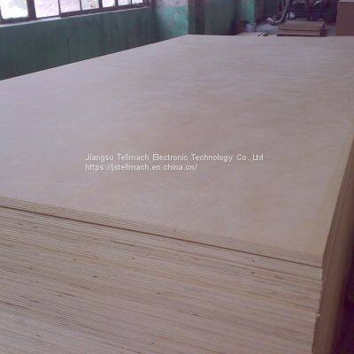 Birch Faced Plwood for High Quality Furniture photo-2