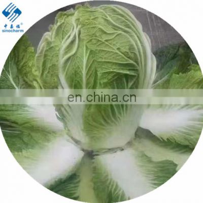 frozen chinese cabbage