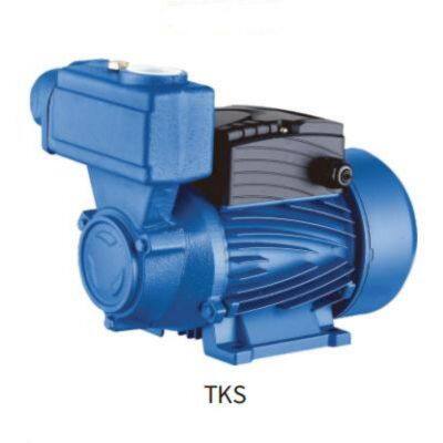 1WZB TKS Series Peripheral Pumps
