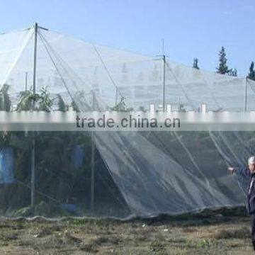Vineyard Used Anti Hail Net/hail Protection Net/plastic Net