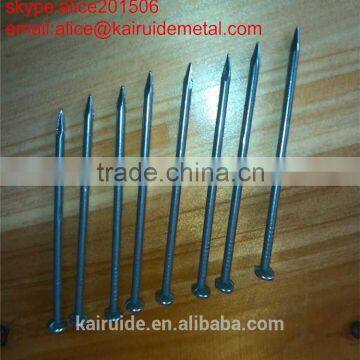 15 Years Factory Produce ISO Competitive Price High Quality Common Iron Wire Nail All Sizes photo-3
