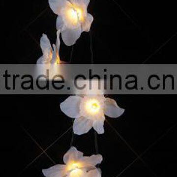 white daffodil string light