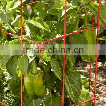 china factory directly sell Folding plant tomato support cages