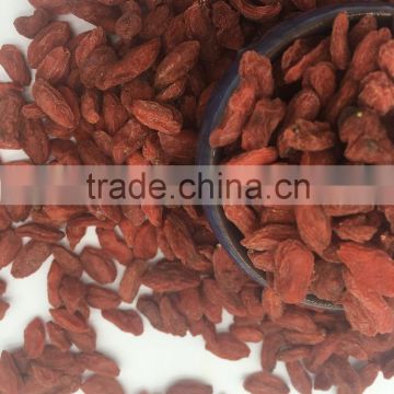 Benefit Goji Berries Dried For Export