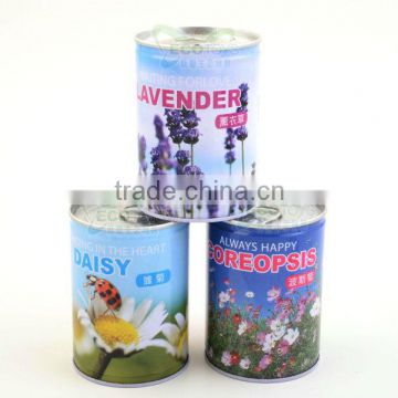 Cans flower,lavender,daisy,coreopsis