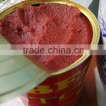 China Hot Sell Canned tomato paste,tomato ketchup