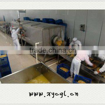 Dehydrated Vegetables Processing And Drying Machine