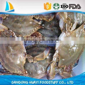 Chinese fresh frozen whole blue crab sellers