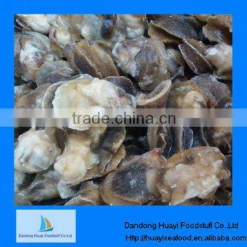 Fresh frozen iqf moon snail