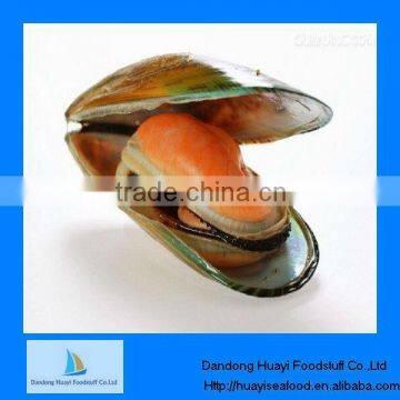 frozen mussel product